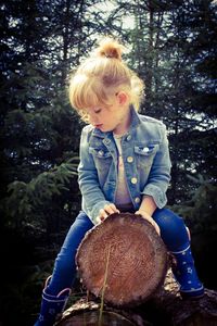 Full length of boy in tree