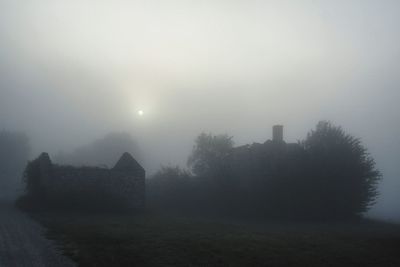 Trees on field against sky during foggy weather