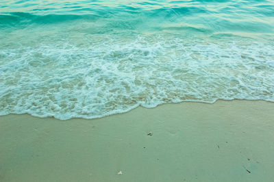 High angle view of surf on beach