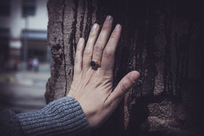 Cropped hand touching tree