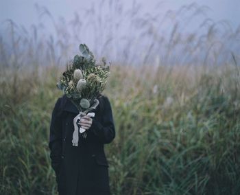 plant