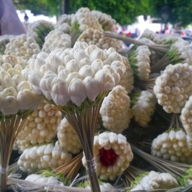 freshness, food and drink, for sale, food, abundance, market, market stall, large group of objects, healthy eating, retail, variation, choice, close-up, indoors, focus on foreground, vegetable, display, still life, no people, selective focus