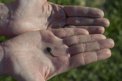 Close-up of man holding hands