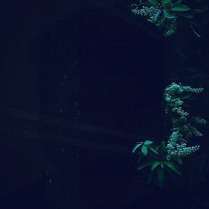 Illuminated lights at night