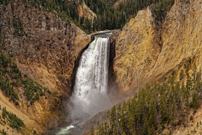 Scenic view of waterfall in forest