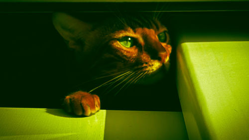 green