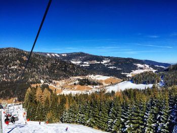 Overhead cable cars on snow against trees