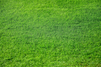 Full frame shot of soccer field