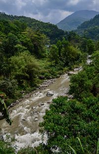 Scenic view of river amidst trees against sky