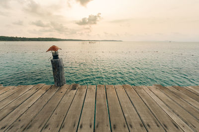 Rear view of man standing on jetty against sea