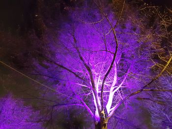 Low angle view of illuminated purple at night