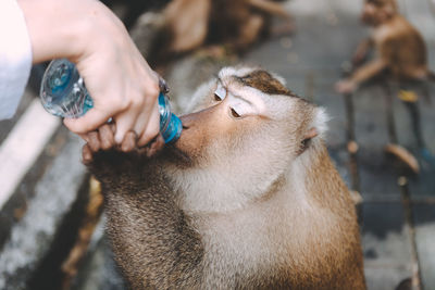 Close-up of hand holding hands