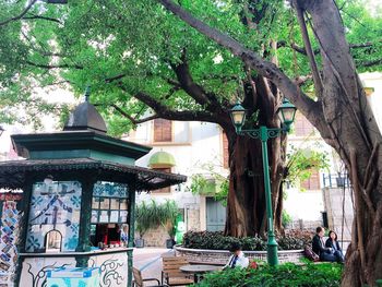 Plants and trees outside building