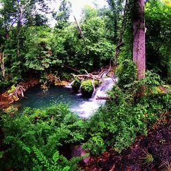 Scenic view of river flowing through rocks