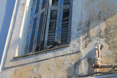Low angle view of residential building