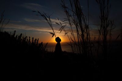 Silhouette of bare tree on field