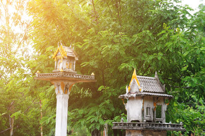 Trees with buildings in background