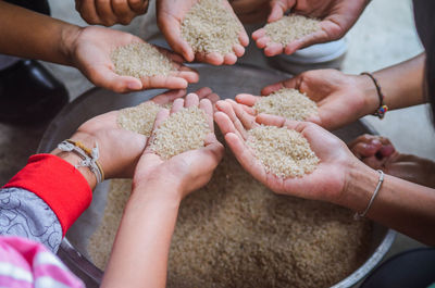 High angle view of hands holding food