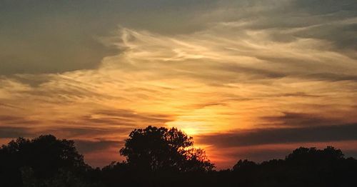 Low angle view of silhouette trees against dramatic sky