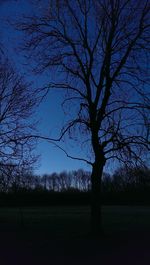 Silhouette tree against clear blue sky