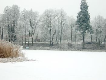 Bare trees on snow covered field against clear sky