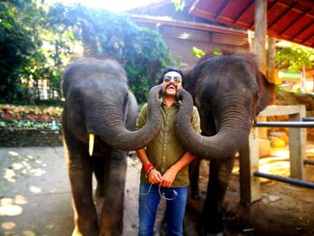 Smiling man standing amidst elephants