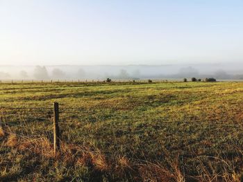 Scenic view of field against sky