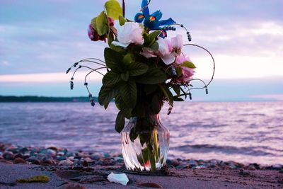 Close-up of flowers against sea