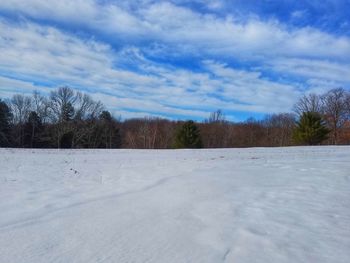 Trees on snow covered landscape against sky