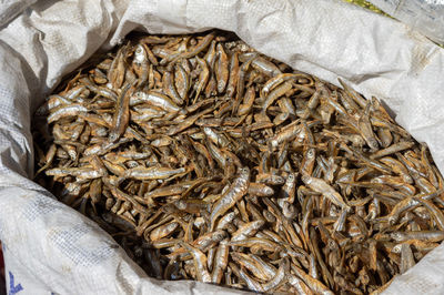 High angle view of fish in market