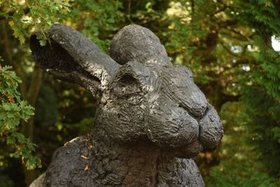 Close-up of statue