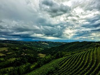 Scenic view of agricultural field against sky