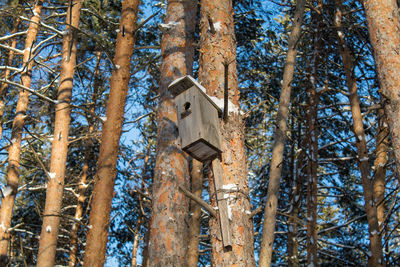 Low angle view of birdhouse on tree trunk