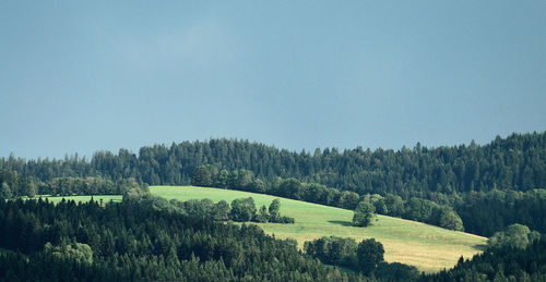 Scenic view of landscape against clear blue sky