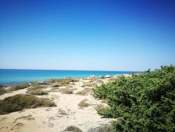 Scenic view of sea against clear blue sky