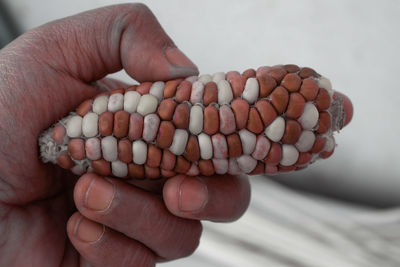 Close-up of hand holding ice cream