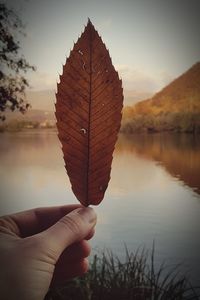 Close-up of hand holding leaf against lake during sunset