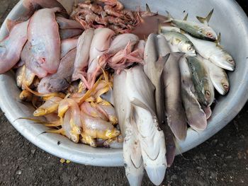 High angle view of fish for sale in market