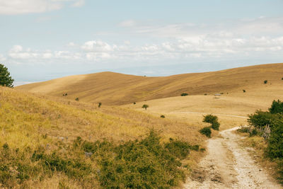 Scenic view of landscape against sky