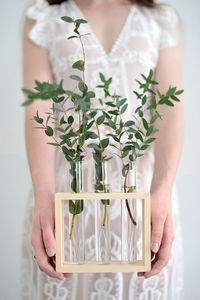 Midsection of woman holding plants in test tubes