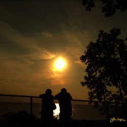 Silhouette of trees at sunset