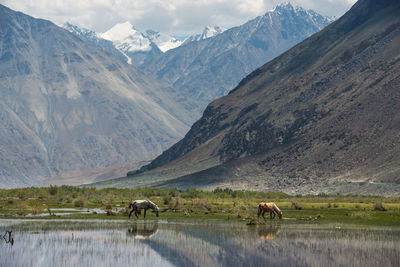 Scenic view of mountains