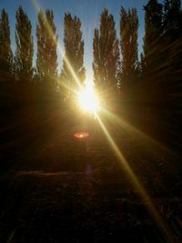 Sun shining through trees during sunset