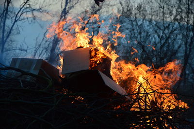 Bonfire on field against trees