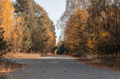 Road amidst trees in forest during autumn