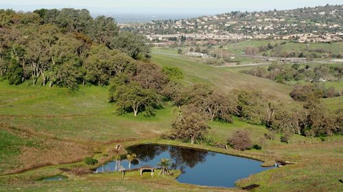 High angle view of trees by lake