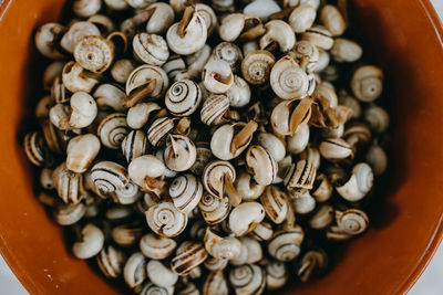 Plate of cooked snails