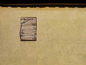 Close-up of window on wall of building