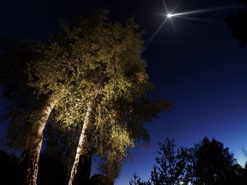 Low angle view of trees against sky