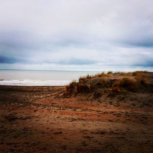 Scenic view of beach against sky